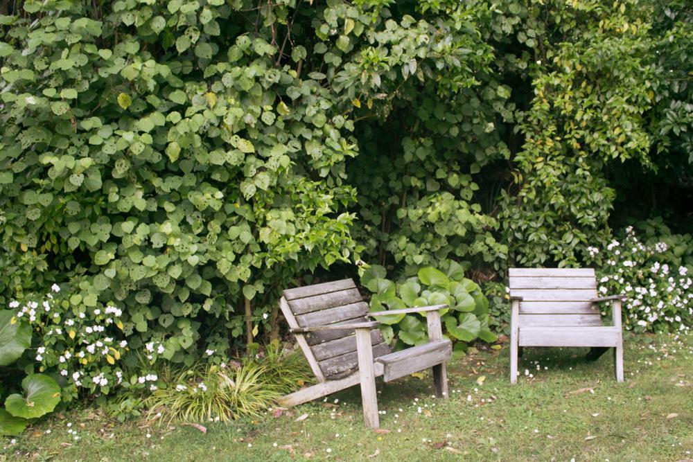 Amongst The Nikau Villa Waihi Exterior foto