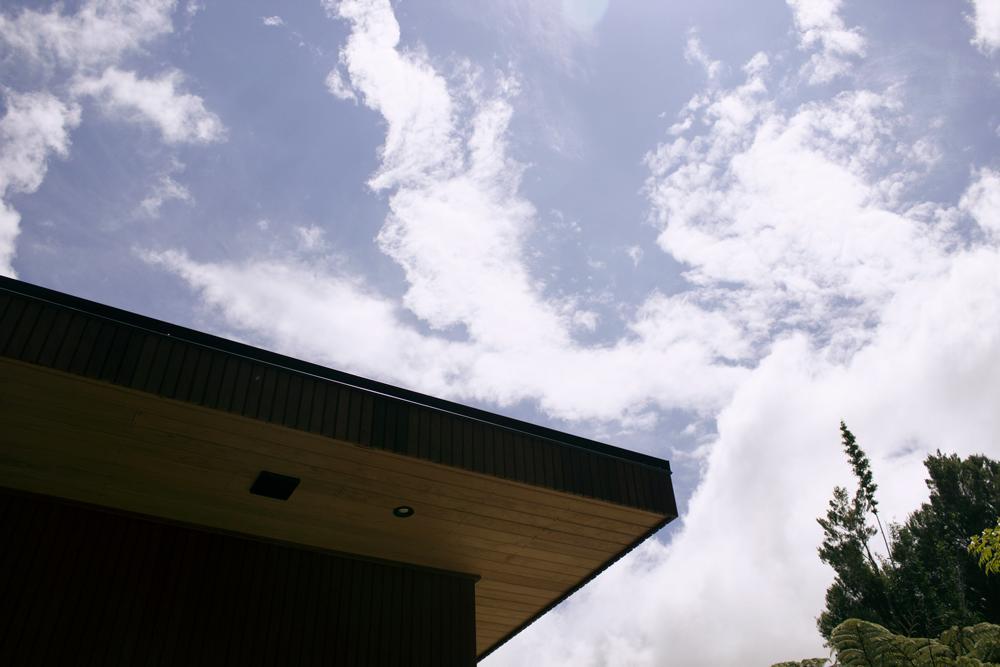 Amongst The Nikau Villa Waihi Exterior foto
