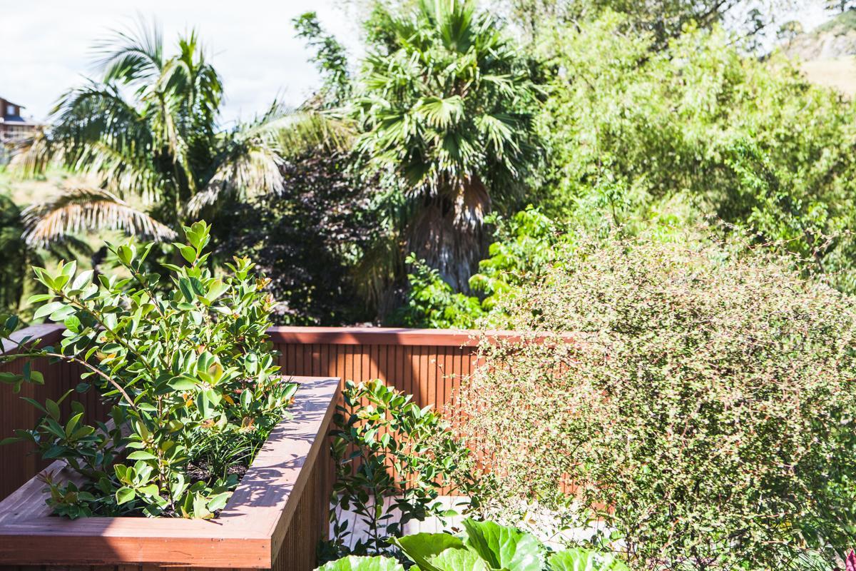 Amongst The Nikau Villa Waihi Exterior foto